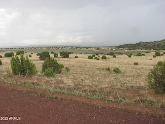 21 & 23 County Road 8001 -- Unit 277 & 278, Concho, AZ 85924