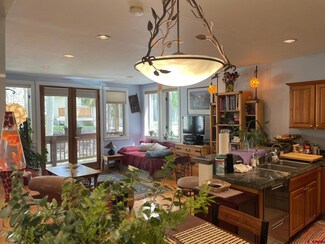619 W Columbia Ave Unit c-112, Telluride, CO 81435