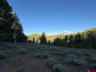 734 Deer Trail, Cimarron, CO 81220