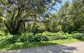 0 Cr 401c Unit MFRG5085932, Lake Panasoffkee, FL 33538