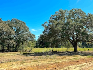 0 Hampton Ridge Ct Unit Lot 50 351764, Mobile, AL 36608
