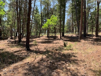 7 Timber Wolf Unit 6 &24, Mayhill, NM 88339