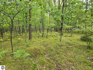 1009 Castle Dr, Lake Isabella, MI 48893