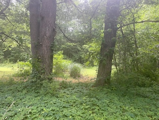 VACANT LOT Miami Ave, Grand Junction, MI 49056