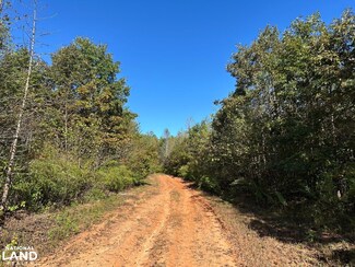 438 Mountain Top Rd, New Canton, VA 23123