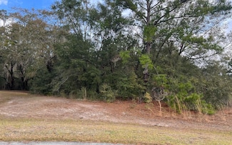 597 SW Mayfair Ln, Lake City, FL 32024