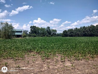 1120 Woodard Rd, Windsor, NC 27983