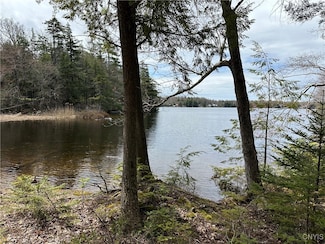 0 E Shore Rd, Stratford, NY 13470