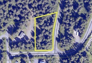 L60 B2 Bear Chase St, Seward, AK 99664