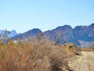 694 Antonio Rd, Terlingua, TX 79852