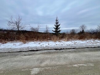 0 Frank Hyde Rd, Owego, NY 13827