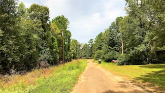 Lot 1-2 Friar Tuck Dr N, Ivanhoe, TX 75979