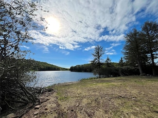 47 Eagles Ridge Way, Liberty, NY 12768