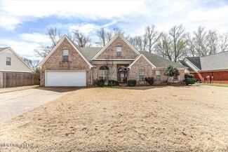 53 Pebble Creek Cove W, Hernando, MS 38632