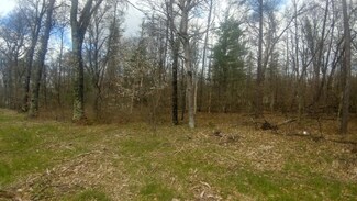 Par. 5 W Baldwin Rd, Baldwin, MI 49304