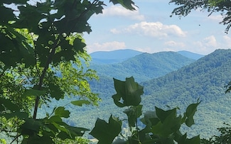 5 N Ridges Overlook, Hayesville, NC 28904