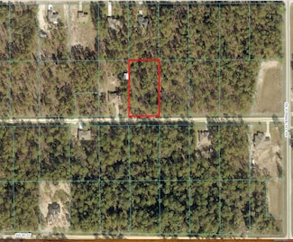 TBA SW 78 Place, Dunnellon, FL 34432