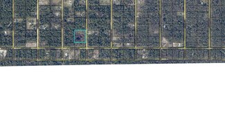 10715 Yeager Ave, Hastings, FL 32145