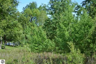 1044 El Camino Grande, Weidman, MI 48893