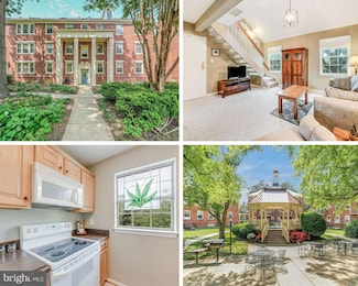 517 Bashford Ln Unit 5, Alexandria, VA 22314
