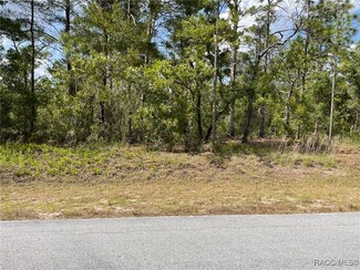 LOT 29,30 SW Anchor Blvd, Rainbow Lakes Estates, FL 34431
