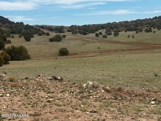 Lot 1305 Badger Flats Rd, Seligman, AZ 86337