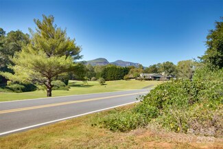 Lot 13 Buffalo Creek Rd Unit 13, Lake Lure, NC 28746