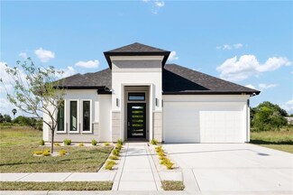 808 Ramirez Ln, Mission, TX 78573