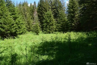 25 Lords Lake Loop Rd, Quilcene, WA 98376