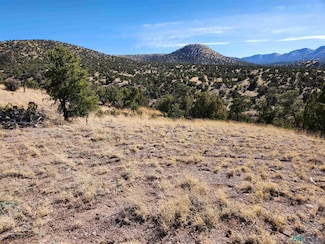 0000 Tbd Nm 169 State Rd, Magdalena, NM 87825