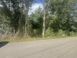 0 Sand Hill Township Rd Unit 143661, Ellisville, MS 39437