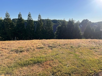 247 Tuscan Ridge Trail, Inman, SC 29349