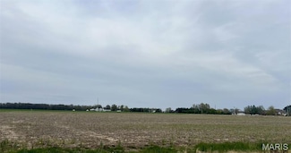 10971 Platinum Ln, Mascoutah, IL 62258