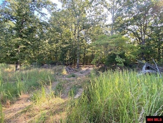 Tract B Deb-Mar Woods Terrace, Midway, AR 72653