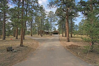 13449 S Mohawk St, Pine, CO 80470