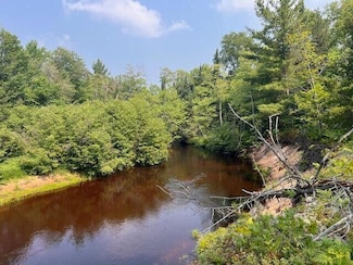 82.5 Acres N Wines Rd, Whitefish Township, MI 49768