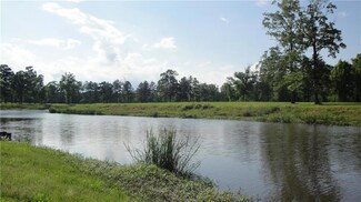30646 Heron View None, Springfield, LA 70462