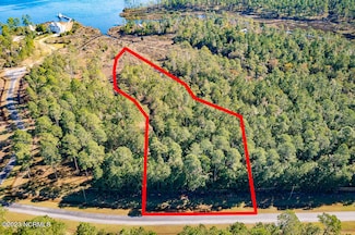 29 Paradox Point Dr, Aurora, NC 27806