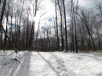 80 Acres County Road O, Ogema, WI 54459