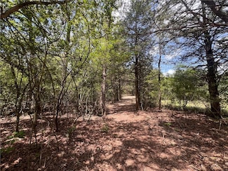 (4.81 Acres) Lot 2 Pauline Ln, Caldwell, TX 77836