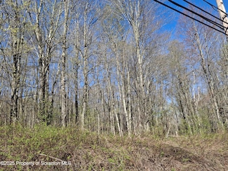 LOT7 Damiano Dr, Covington Township, PA 18424