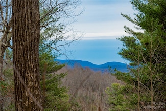 000 Hollybrook Dr Unit S-15, Flat Rock, NC 28790