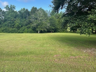 17 N Hill Dr W, Carriere, MS 39426
