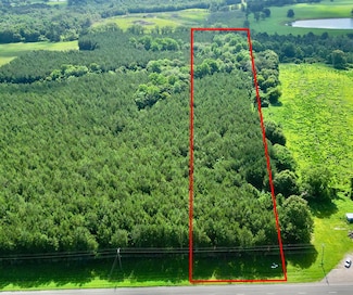 12 Us Hwy 231 S, Brundidge, AL 36010