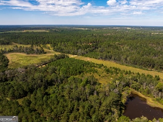 9.5 ACRES Danny Martin Rd, Cobbtown, GA 30420