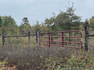 13164 S Skylark Rd, Lane, OK 74555