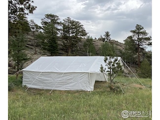 102 Mount Princeton Ct, Glacier View Meadows, CO 80536
