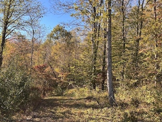 Lot 19 Island Rd, Junior, WV 26275