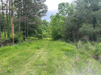 0 Ashley Road 482, Fountain Hill, AR 71642