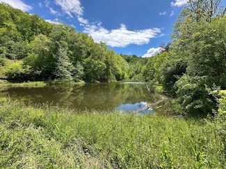 150 Sycamore Creek Rd, van Lear, KY 41265
